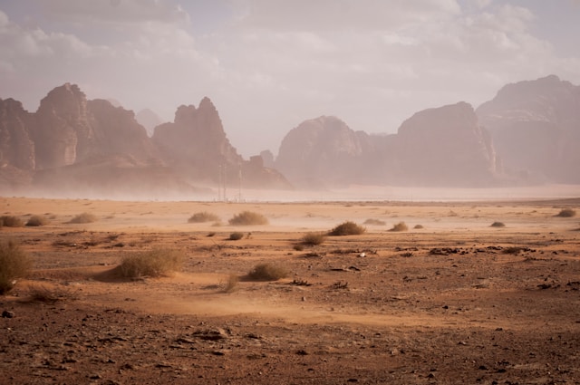 Explorer les déserts de Jordanie : Petra et au-delà